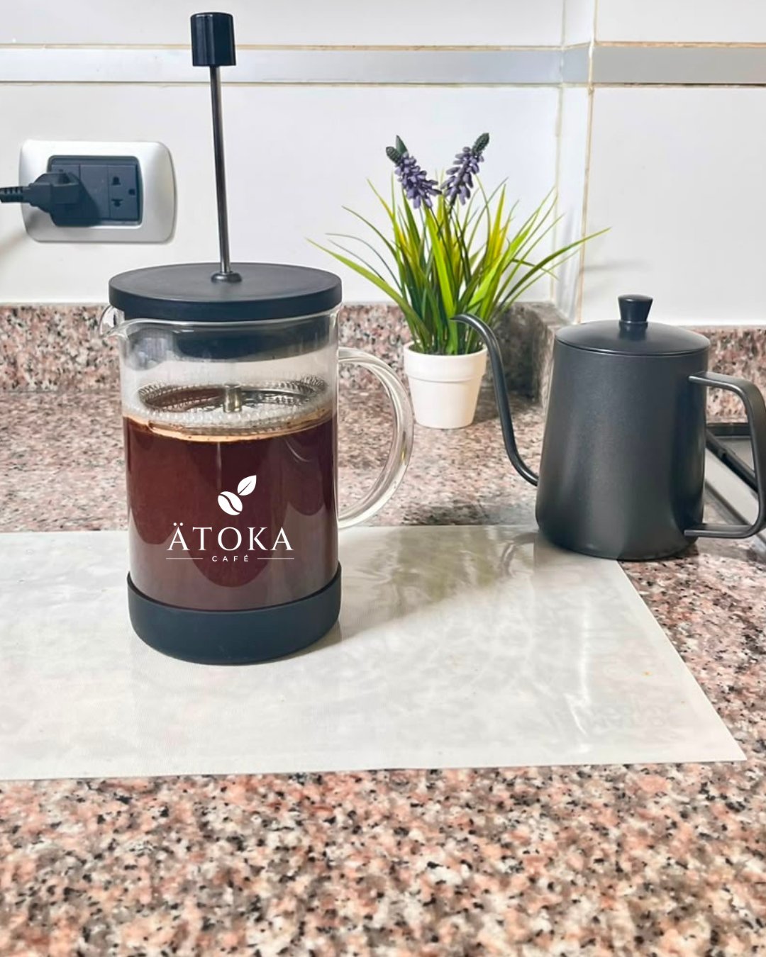 Ätoka Catigua